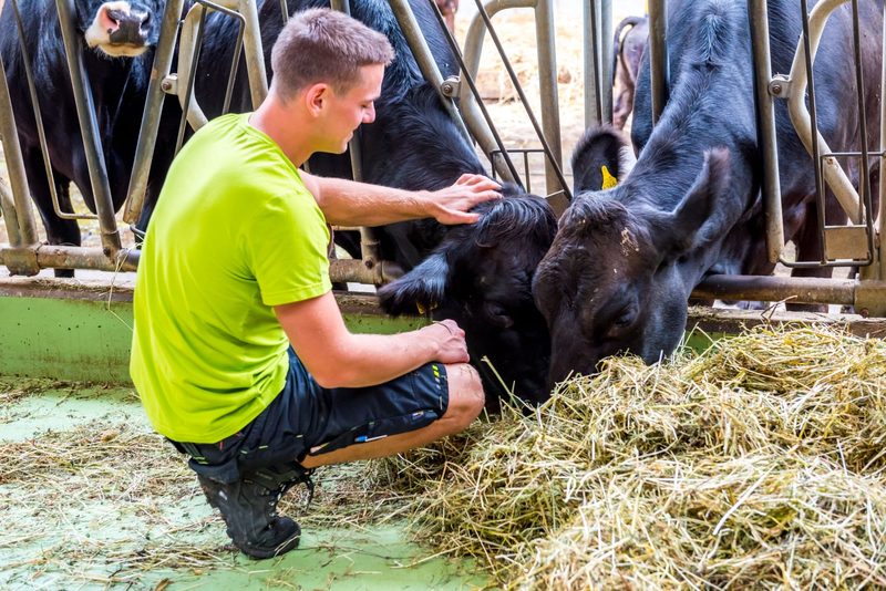 Bio-Betriebs-Check für Landwirtschaftsbetriebe