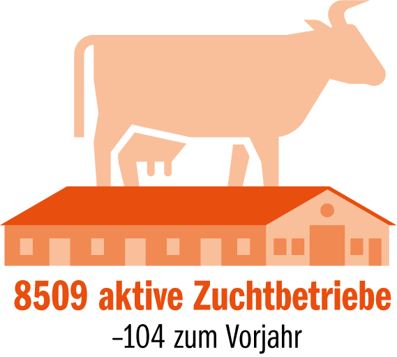 «Es ist nur noch eine Frage der Zeit, bis die schwarze Holstein die rote überrundet»