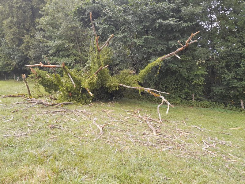 Unwetter der letzten Tage wirken sich unterschiedlich aus