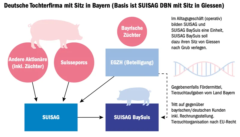 Vertrag zwischen Suisseporcs und der bayrischen EGZH sorgt für Diskussionen