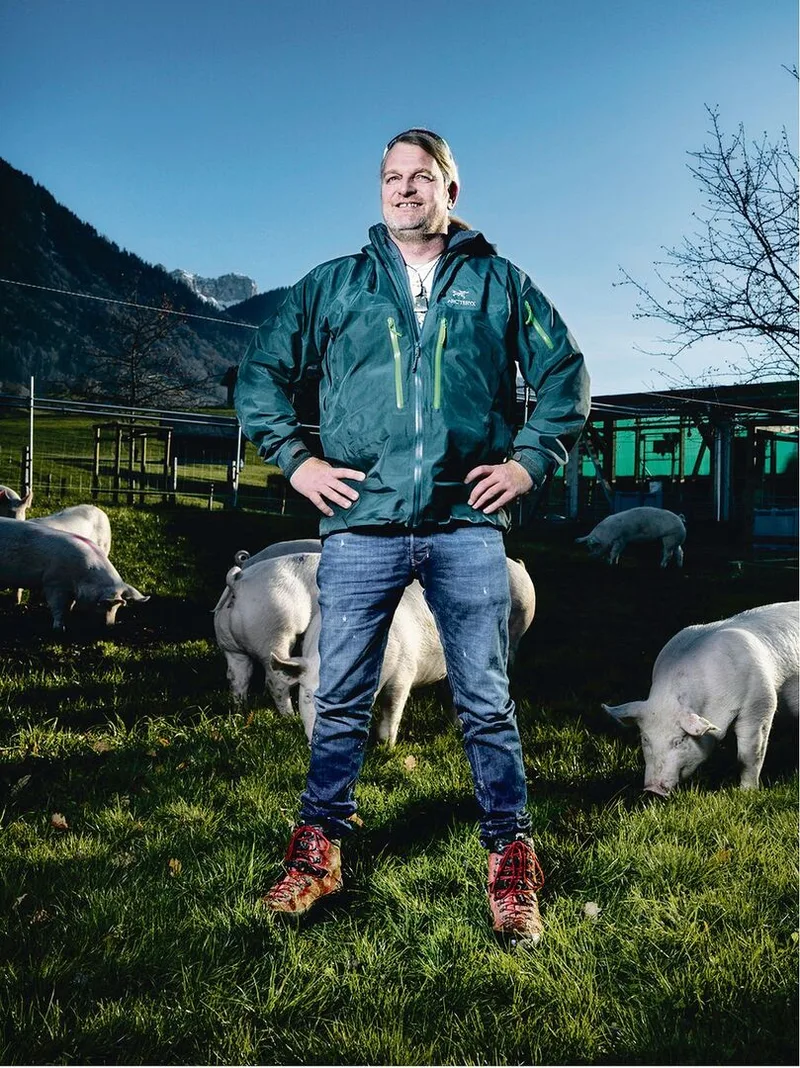 Dank Migros soll Absatz für Wiesenschweine steigen