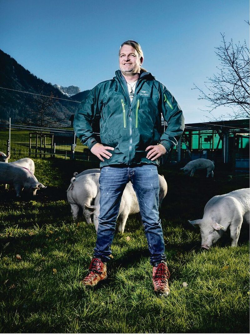 Dank Migros soll Absatz für Wiesenschweine steigen