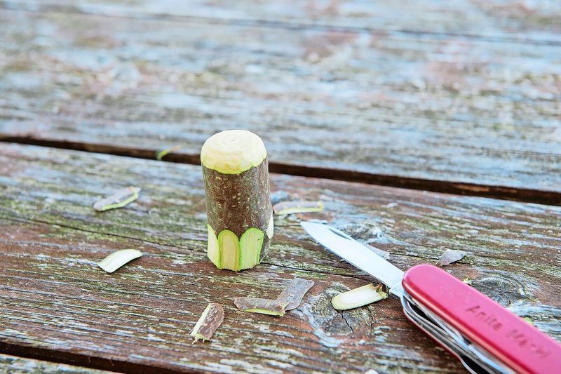 Die Schweineschnauze formen und die Rinde beiseitelegen.