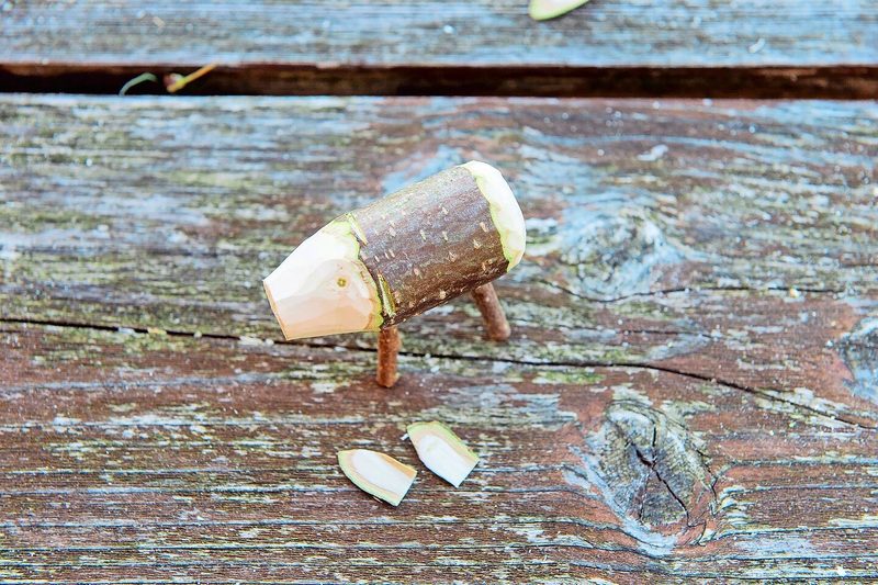 Einkerbungen für die Ohren machen und die Rinde ankleben.