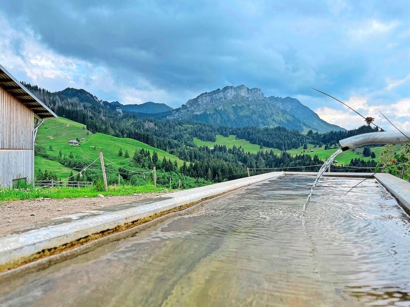 Hofidylle, auch wenn das Wetter nicht will, auf dem hochgelegenen Betrieb mit viel Hanglage: Ausblick auf die mehrgipflige Äbnistettenflue.