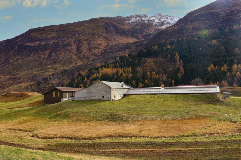 Durch die grossen Schneemengen im Urserental besteht die Gefahr durch Lawinen. Die Stallgebäude der Familie Gisler wurden möglichst lawinensicher gebaut.
