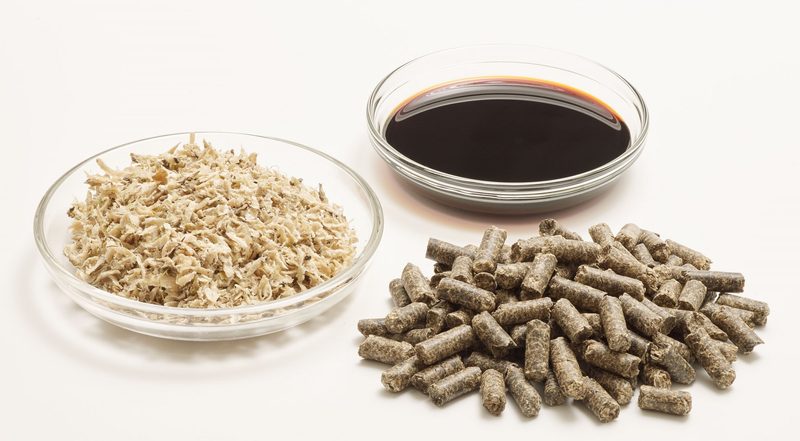 Schweizer Ethanol auf der Zielgeraden