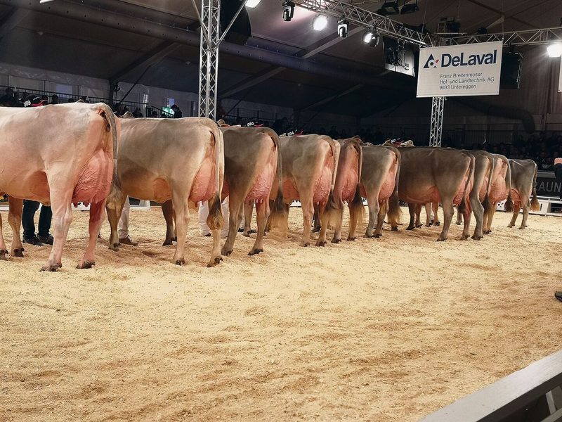 Schwingerkönig Matthias Sempach gratuliert seinem Lehrling Francesco De Benedetto zum EFZ