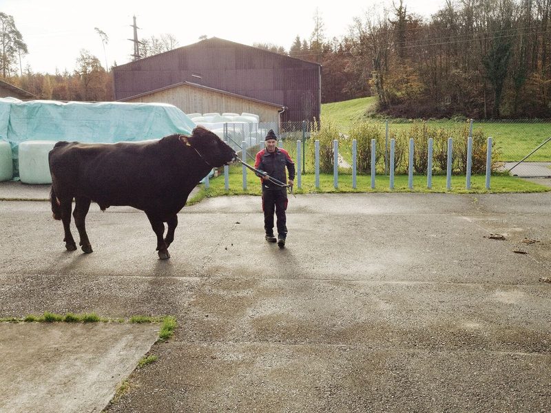 Schwingerkönig Matthias Sempach gratuliert seinem Lehrling Francesco De Benedetto zum EFZ