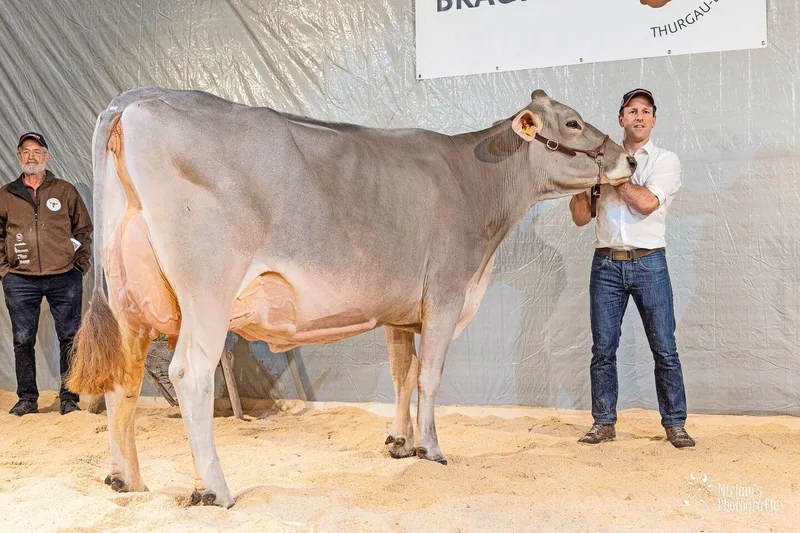 Valencia von Christian Kern aus Amlikon-Bissegg wurde sowohl Grand Champion wie auch Schöneuter-Siegerin.