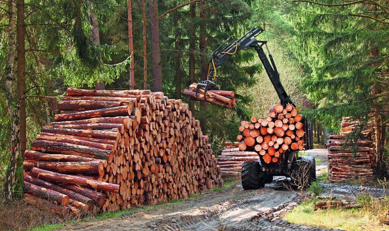 Bauen für die Zukunft
