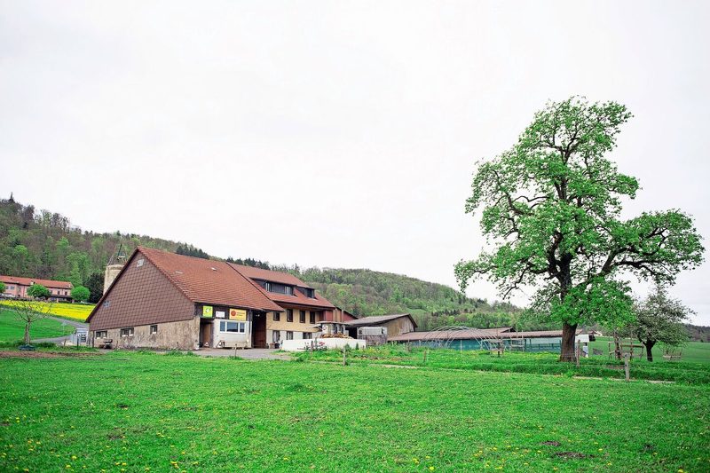 Der biologisch bewirtschaftete Hof Lutertätsch liegt etwas oberhalb von Oftringen, die Weiden sowie der Gemüseacker sind arrondiert.