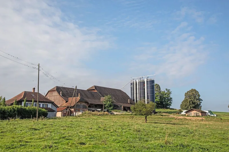 Der Bauernhof von Urs Dummermuth ist umgeben von Weideland. Neben dem Hof stehen die Futtersilos.