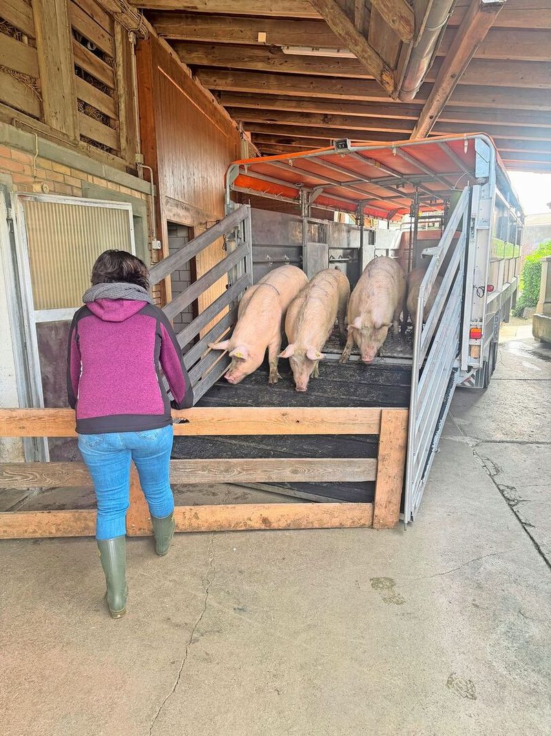 Überall dort, wo gerade eine oder auch zwei Hände gebraucht werden, packt Renate Wyss an.