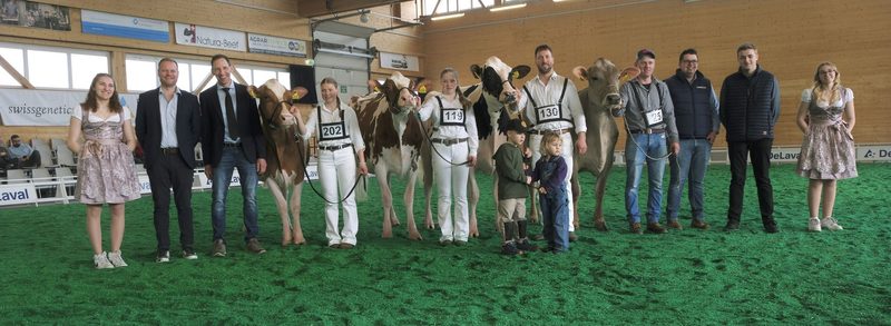 Eliteschau Aargau: Bürkli, Ender, Lang und Kuhn gehören die Champion-Kühe