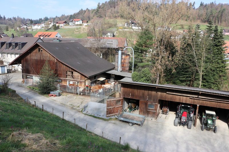 Erdbeeren und Spargeln: Warum Familie Bottlang zu 60 Prozent auf Direktvermarktung setzt