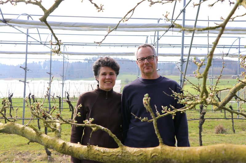 Erdbeeren und Spargeln: Warum Familie Bottlang zu 60 Prozent auf Direktvermarktung setzt