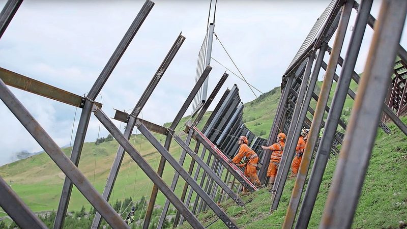 Die Beweidung ist vertraglich zugesichert, wird aber durch den «Stangenwald» eingeschränkt sein,