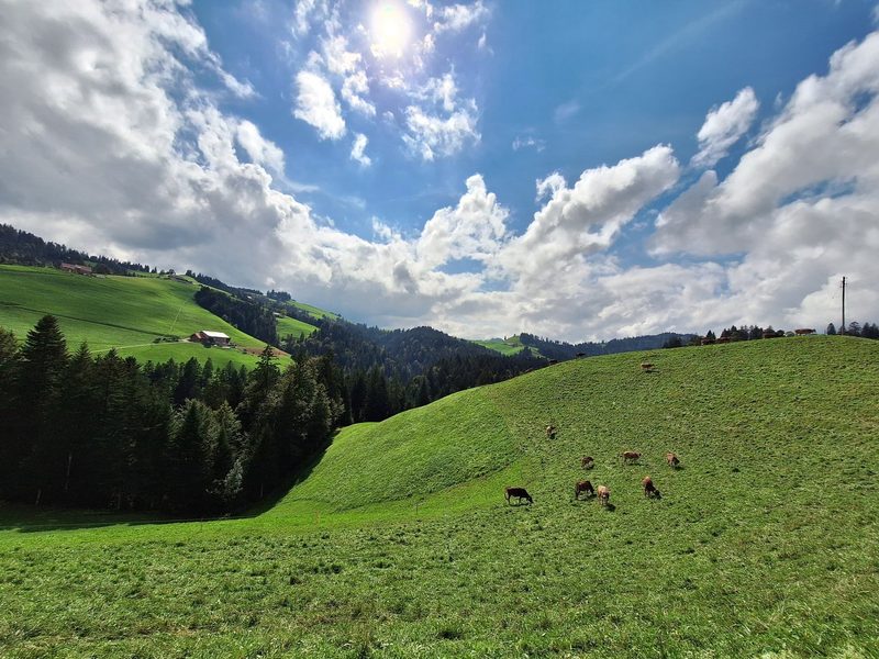 Auch Siegenthalers gehen an die Lucerne Expo