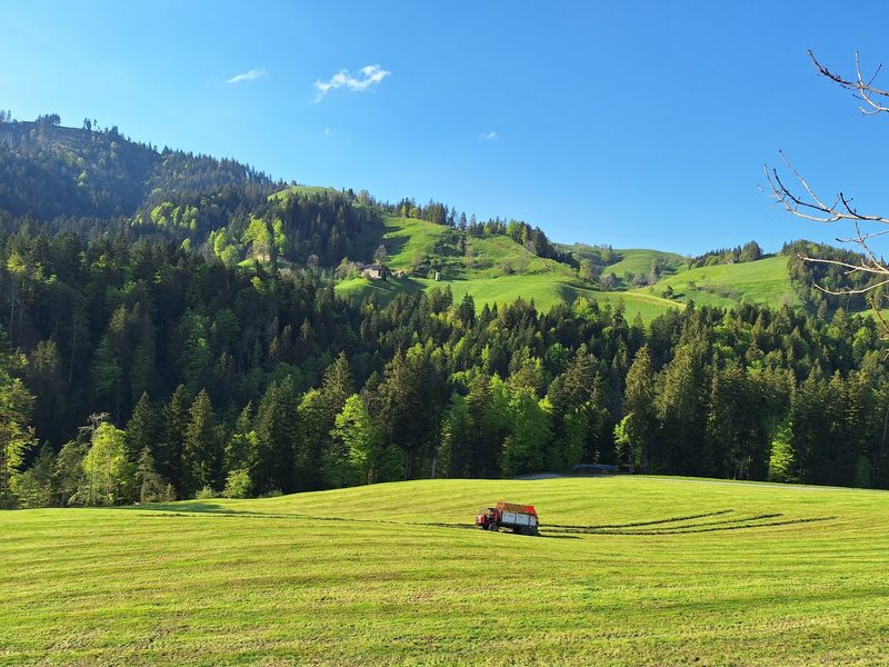 Auch Siegenthalers gehen an die Lucerne Expo