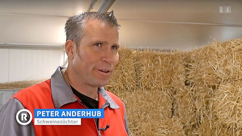 Peter Anderhub gibt im Beitrag der «Rundschau» Einblick in seine Arbeit auf dem Schweinebetrieb im aargauischen Muri. Er spricht offen über die Ferkelkastration.