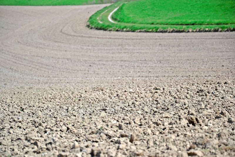 Trockenheit: Noch nicht besorgniserregend, «aber zum Silieren ist es zu früh»