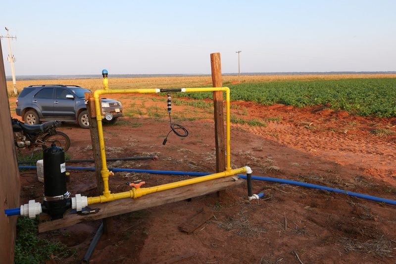 Der Schweizer Kartoffelbauer in Paraguay