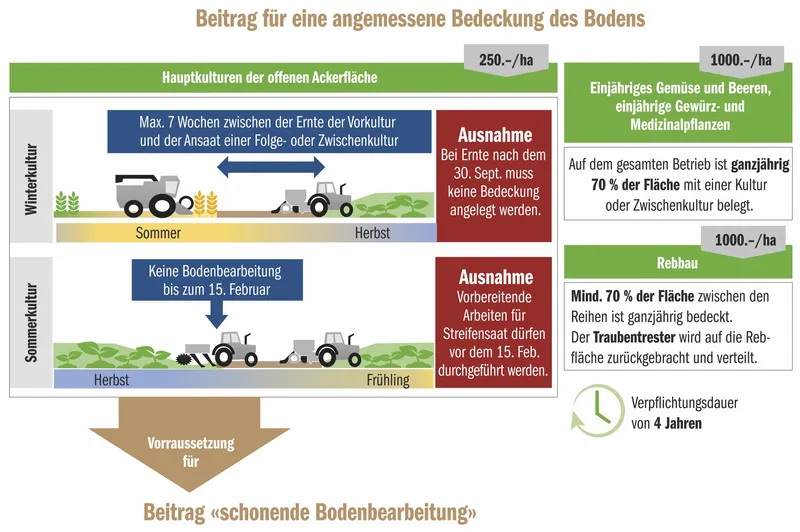 Ab 2023 ist die Bodenbedeckung zwischen Ernte und Saat Pflichtprogramm