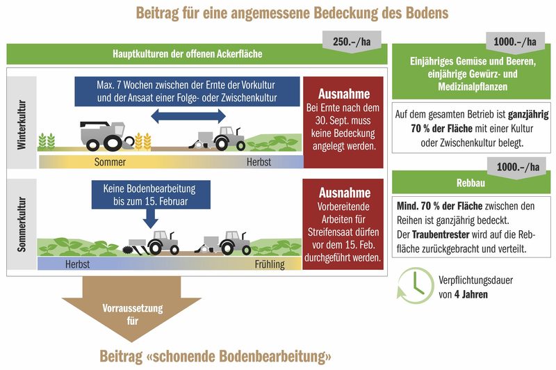 Ab 2023 ist die Bodenbedeckung zwischen Ernte und Saat Pflichtprogramm