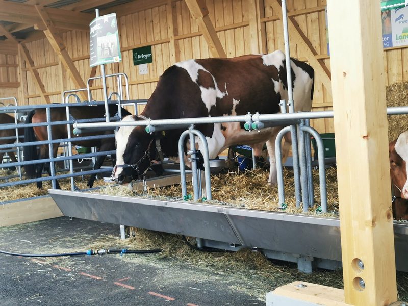 10 von 11 Lebendpreisen gehen zurück zum Züchter oder Halter
