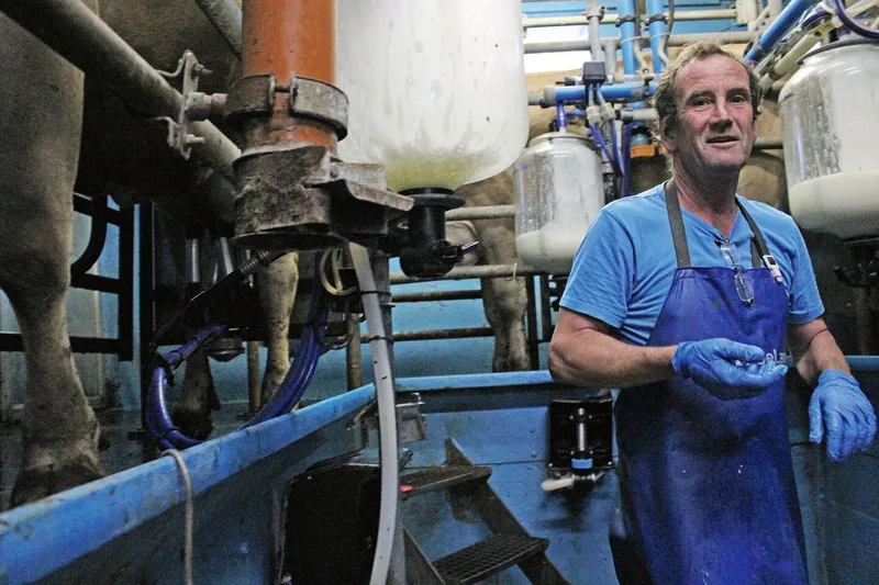 Martin Pfister steht mit Schürze und Handschuhen im Melkstand. Hinter ihm sind die Kuhklauen und die abgepumpte Milch zu sehen.
