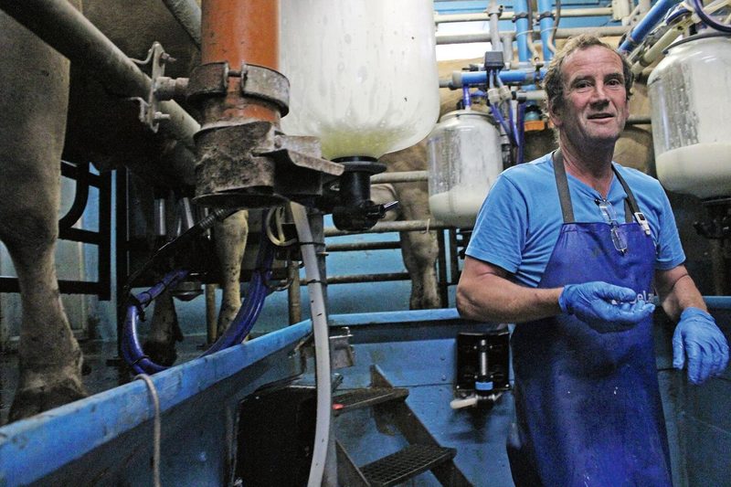 Martin Pfister steht mit Schürze und Handschuhen im Melkstand. Hinter ihm sind die Kuhklauen und die abgepumpte Milch zu sehen.