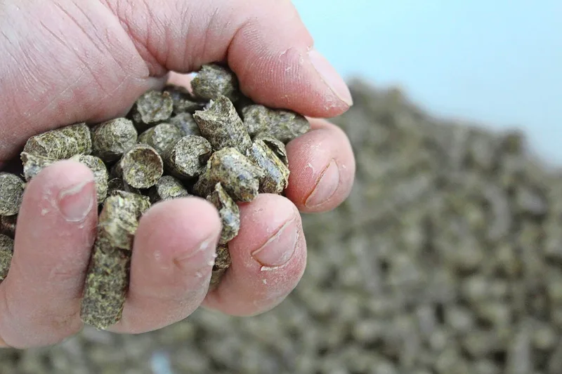 Im Vergleich zu Langstroh sparen die Pellets Platz bei der Lagerung.