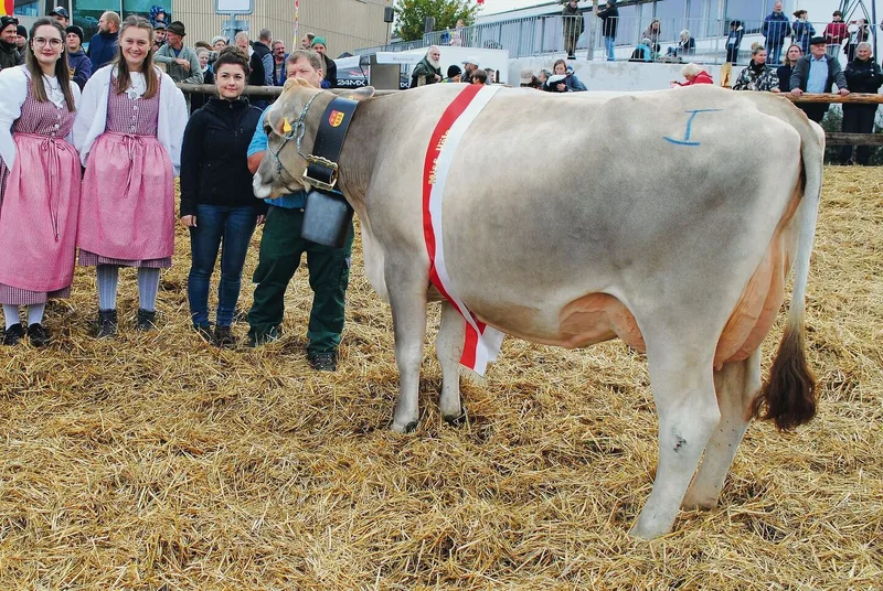 Miss Höfe Phil Finia von Familie Häcki aus Pfäffikon.