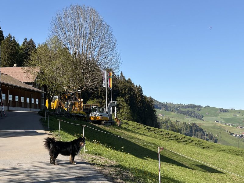 Der höchste Appenzeller Bauer ist auch als Agrar-Influencer unterwegs