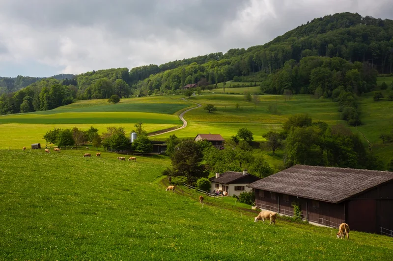 Der Betrieb war bei der Übergabe gut in Schuss. Deshalb konnten die Junglandwirte von Beginn weg loslegen – ohne grosse Investitionen.