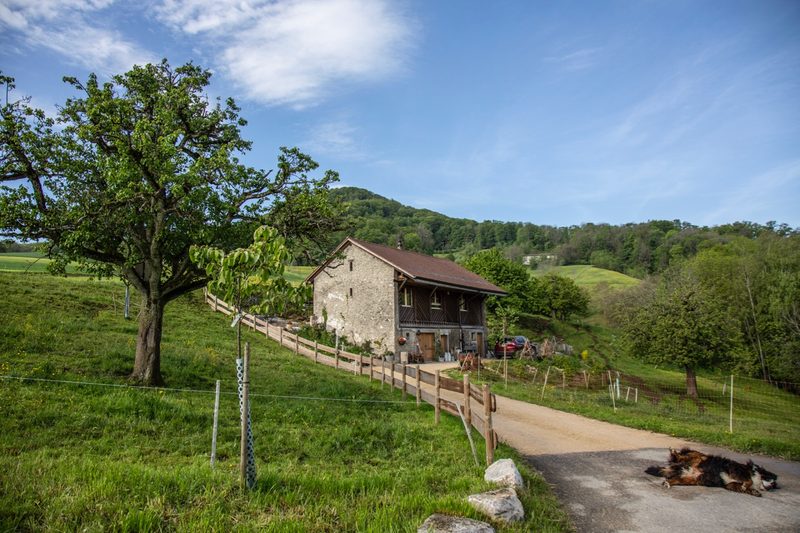 Das Haus der Verpächter ist ein ehemaliges Weidschürli.