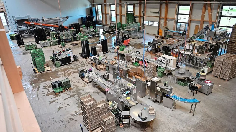Die Aufbereitungshalle ist aus Schweizer Holz gefertigt. Für die Arbeitnehmenden biete sie in jeder Jahreszeit ein angenehmes Klima.