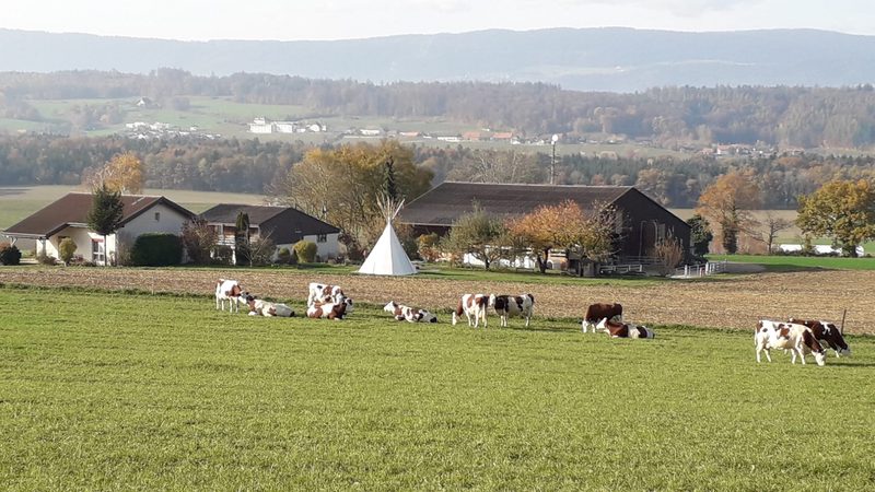 InsTipi im Seeland: Komfortables Schlafen im Tipi