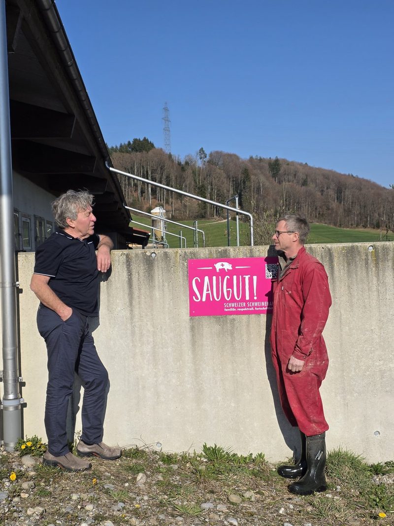 Suisseporcs-Präsident am Pranger: Besuch bei Bernhards in Alchenstorf