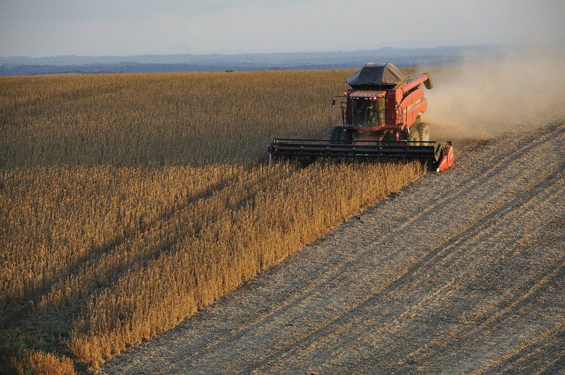 Über 50 Prozent des Kraftfutters seien importiert und die Absatzförderung sei fehlgeleitet