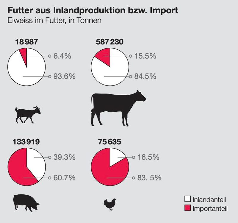Über 50 Prozent des Kraftfutters seien importiert und die Absatzförderung sei fehlgeleitet