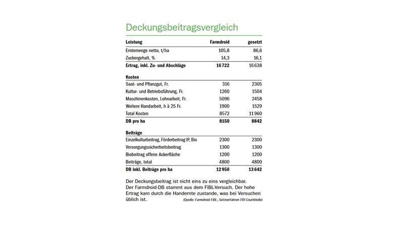Biorüben: Säen oder setzen?