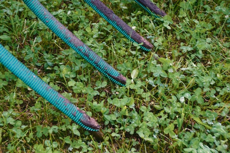 Die Schleppschläuche bringen die Gülle direkt auf den Boden. Das Gras wird weniger verschmutzt als beim Prallteller.