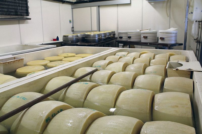 HAFL-Studierende zu Besuch beim ursprünglichen Parmesan
