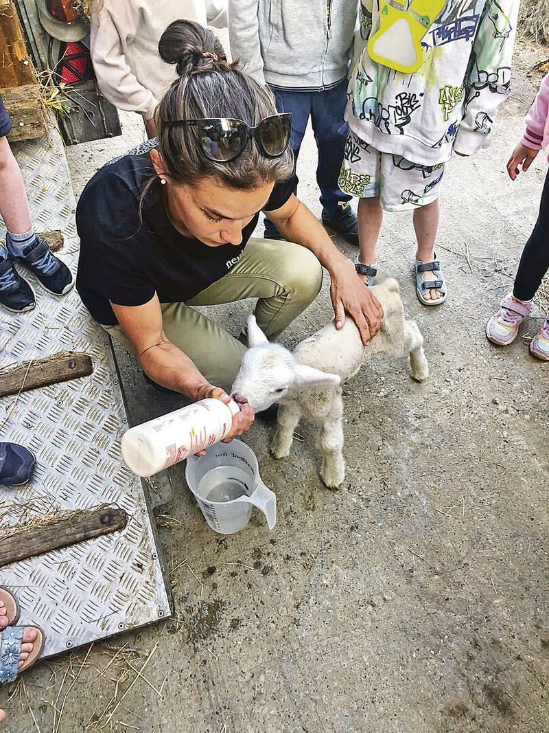 Lämmli schöppeln bei Kindergarten-Besuch.