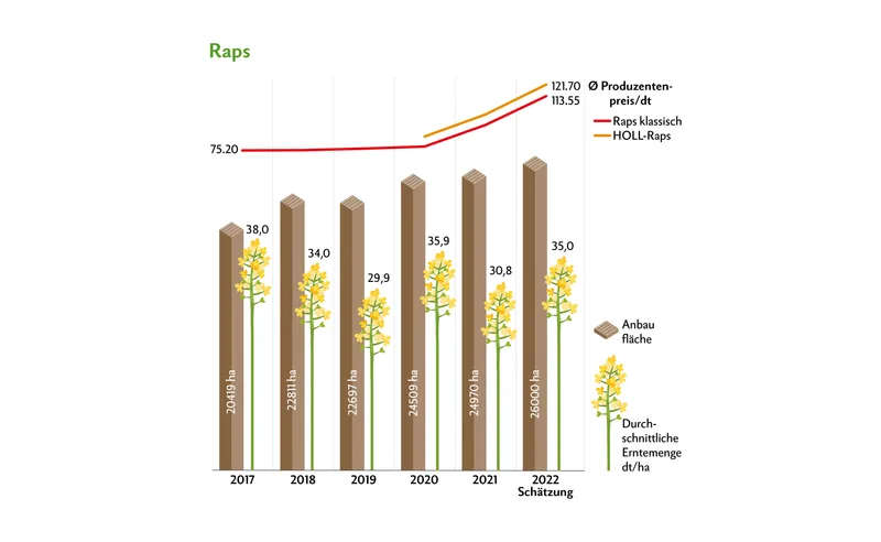 Raps ist sehr gefragt. Die Anbaufläche hat sich aufgrund der stets gestiegenen Produzentenpreise jährlich erhöht.