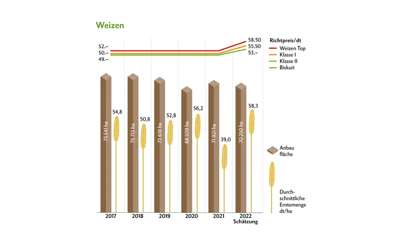 Trotz der Trockenheit wurden für 2022 gute Erträge erwartet. Die Richtpreise wurden nachträglich zusätzlich erhöht, das gab es seit Jahren nicht mehr.