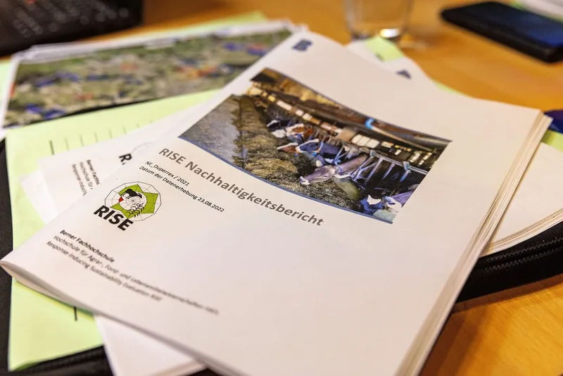 RISE-Analyse Bericht