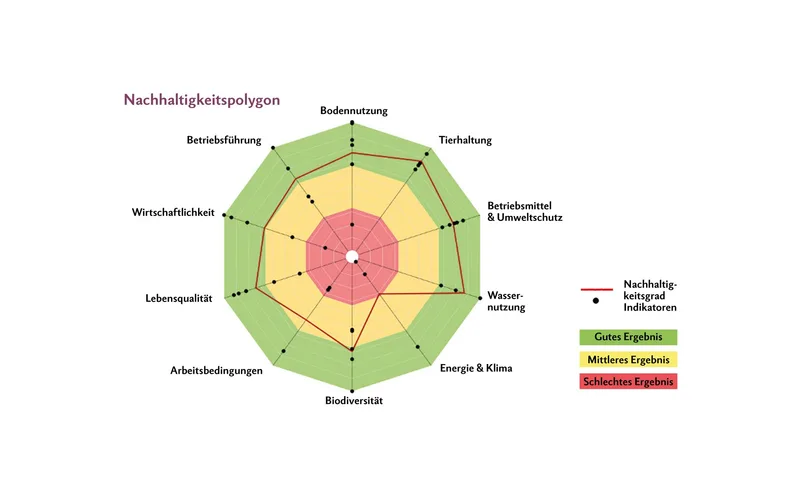 Nachhaltigkeits-Polygon